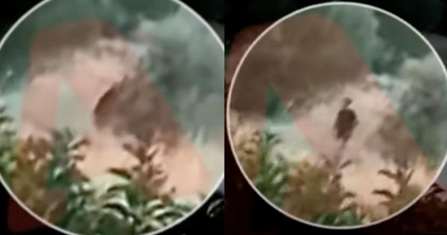 Μαυροφορεμένος νεαρός άντρας βάζει φωτιές και εξαφανίζεται: Αυτός είναι ο εμπρηστής της Πεντέλης