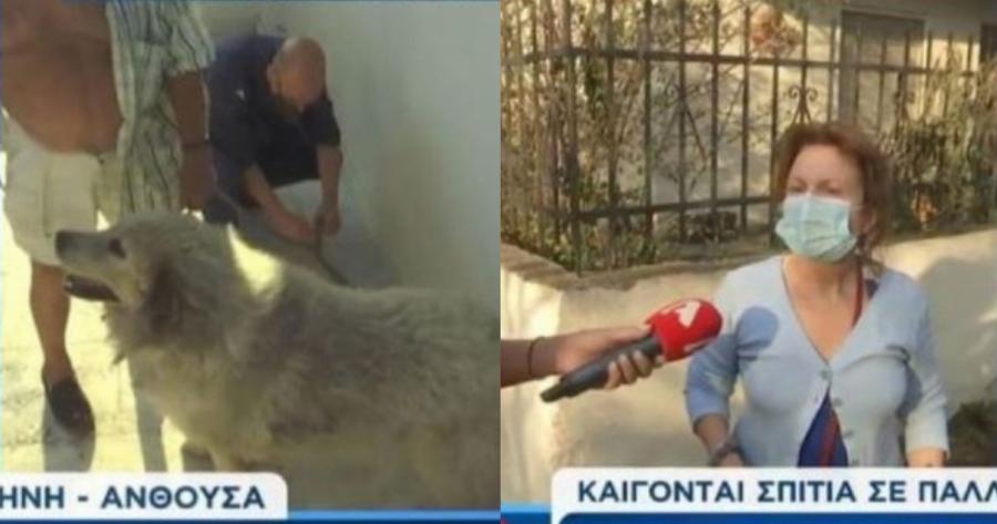 Δραματικό περιστατικό με εγκυμονούσα στην Πεντέλη: «Δεν ήθελε να φύγει από το σπίτι της»