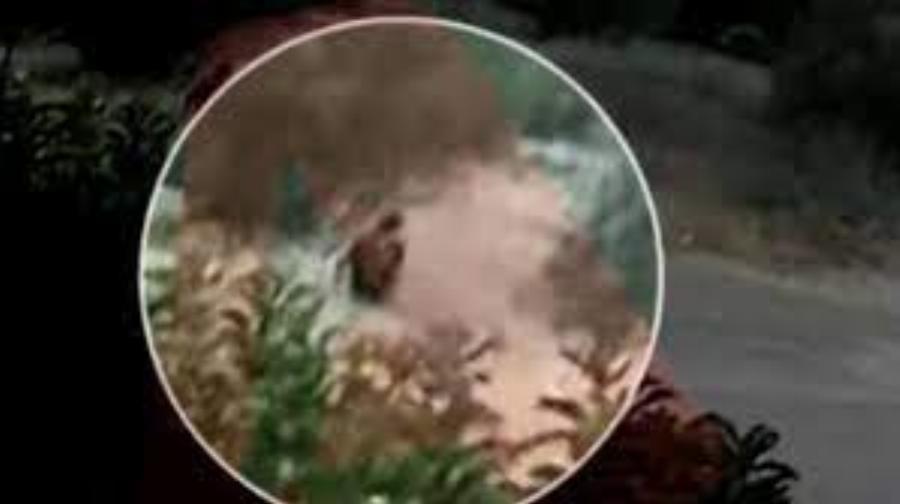 Η εστία φωτιάς έχει όνομα: Ταυτοποιήθηκε ο εμπρηστής της Πεντέλης