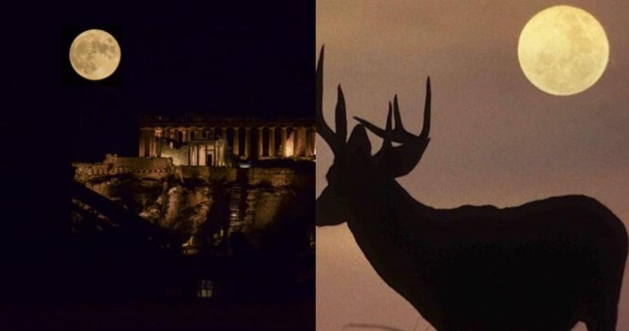 Από πού πήρε το όνομά του το ολόγιομο φεγγάρι του Ιουλίου: Σήμερα η Πανσέληνος του Ελαφιού