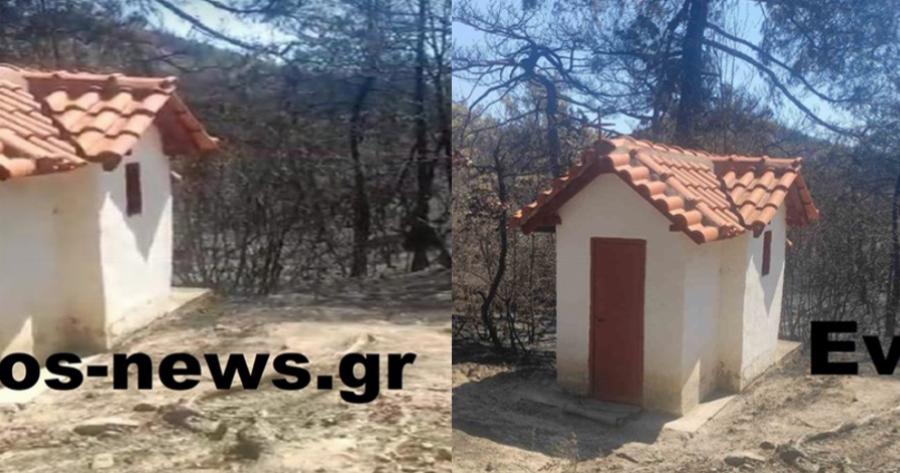 Πυρκαγιά στη Δαδιά: Απείραχτο έμεινε το εκκλησάκι του Αγίου Ραφαήλ από την καταστροφική πυρκαγιά