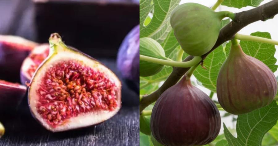 Οφέλη για όλο το σώμα: Το φρούτο που ρίχνει την πίεση, βοηθά την πέψη και θωρακίζει τα οστά