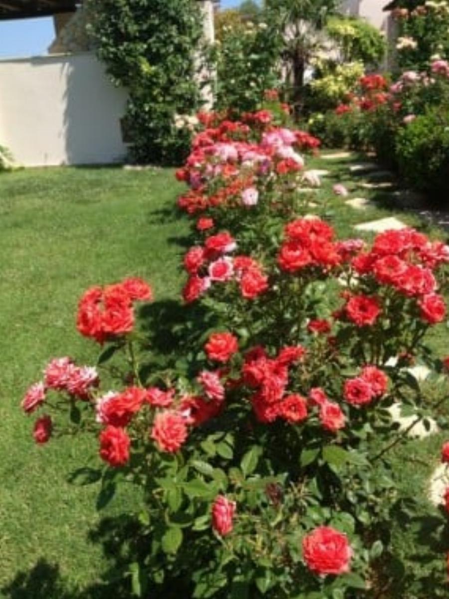 Στεφανίδου και Ευαγγελάτος: Ξέγνοιαστες καλοκαιρινές στιγμές στο εντυπωσιακό εξοχικό με πισίνα και θέα στην Χαλκίδα