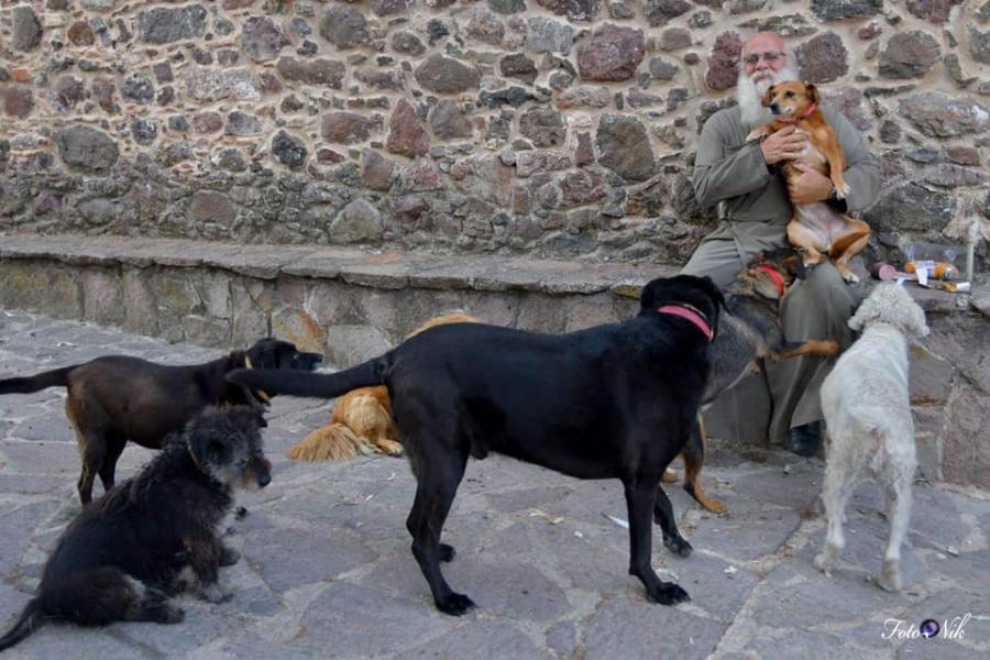 Ένας ιερέας διαφορετικός από τους άλλους στην Λέσβο: Κουβαλάει στα χέρια μια σκυλίτσα που έχει πρόβλημα με τη μέση της