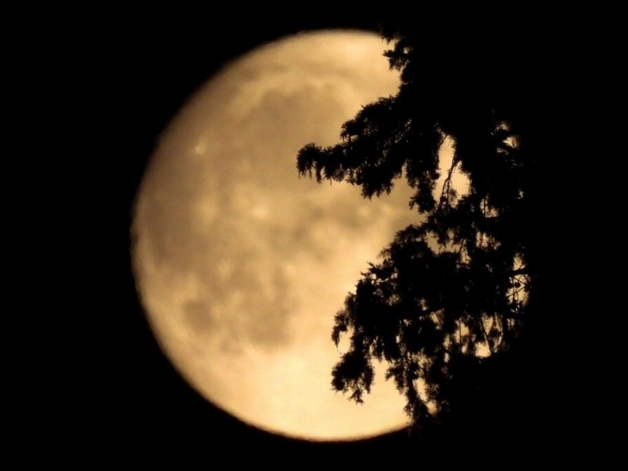 Συγκλονιστικές εικόνες από Ακρόπολη και Σούνιο – Η εντυπωσιακή πανσέληνος πίσω από τα ιερά, αρχικά γλυπτά