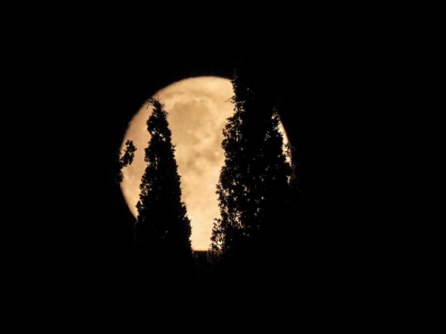 Συγκλονιστικές εικόνες από Ακρόπολη και Σούνιο – Η εντυπωσιακή πανσέληνος πίσω από τα ιερά, αρχικά γλυπτά