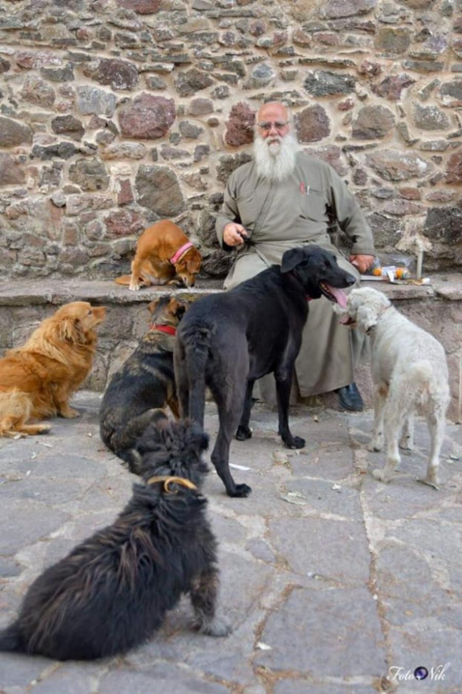 Ένας ιερέας διαφορετικός από τους άλλους στην Λέσβο: Κουβαλάει στα χέρια μια σκυλίτσα που έχει πρόβλημα με τη μέση της