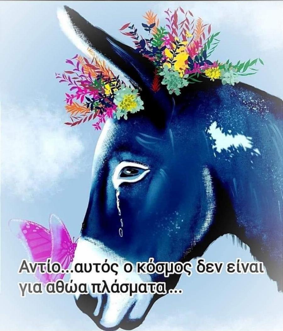 Ζίτσα Ιωαννίνων: Συγκινούν τα σκίτσα για το γαϊδουράκι που υπεβλήθη σε ευθανασία