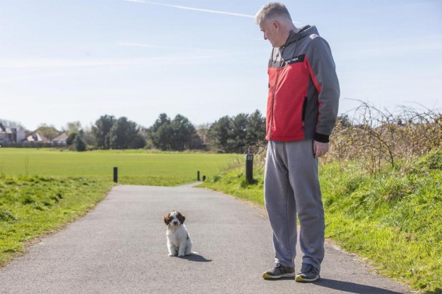 Πήρε κουτάβι και του έφερε 6.000 λίρες: Κουτάβι έσκαψε και ανακάλυψε θησαυρό 6.000 λιρών – «Ήταν η πρώτη του βόλτα»