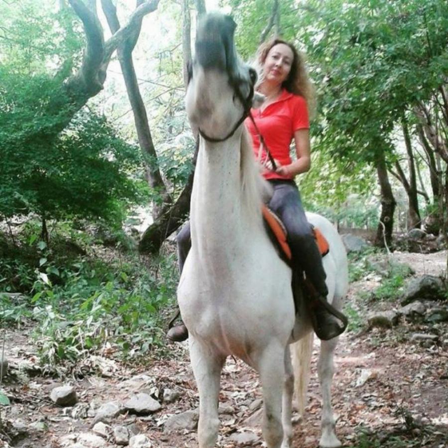 Σέρρες: Στην περιοχή “Άνω Πορόια” βρίσκεται το μεγαλύτερο κοπάδι αλόγων ελληνικής φυλής Πίνδου στην Ευρώπη