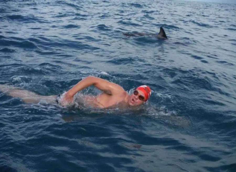 Απίστευτο και όμως αληθινό: Δελφίνια σχημάτισαν προστατευτικό κύκλο γύρω από κολυμβητή μόλις εμφανίστηκε καρχαρίας