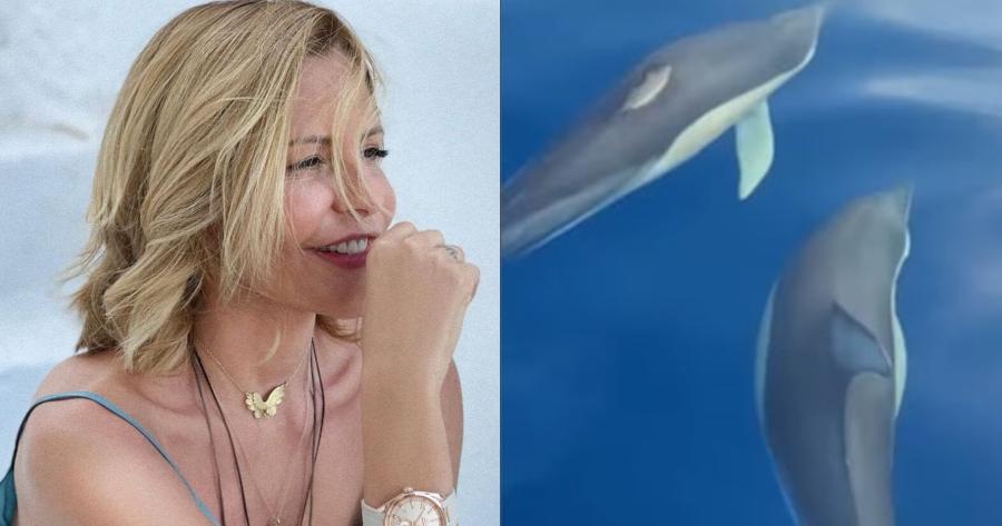 Μαγικές στιγμές για την Τζένη Μπαλατσινού: Το μαγευτικό βίντεο με το κοπάδι από δελφίνια και η αποθέωση στην Ελλάδα