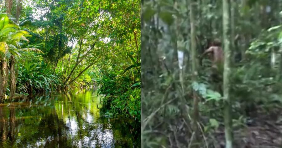 Πέθανε το τελευταίο μέλος φυλής του Αμαζονίου: Δεν είχε έρθει σε επαφή με άλλους ανθρώπους για 26 χρόνια