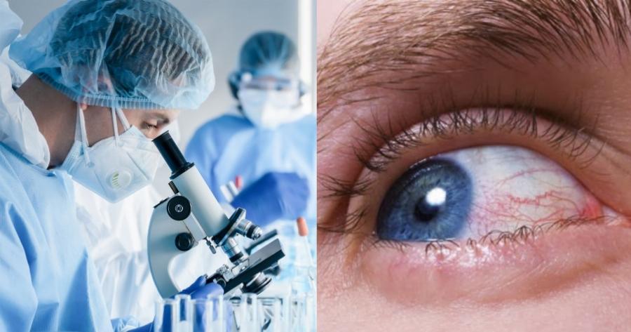 Επιστημονικό θαύμα δίνει ελπίδα: Τυφλοί άνθρωποι βλέπουν ξανά άψογα με εργαστηριακό κερατοειδή χιτώνα