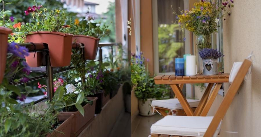 Τα φυτά του τεμπέλη: Με αυτά θα ομορφύνεις το μπαλκόνι σου και χωρίς να χρειάζονται πολύ φροντίδα