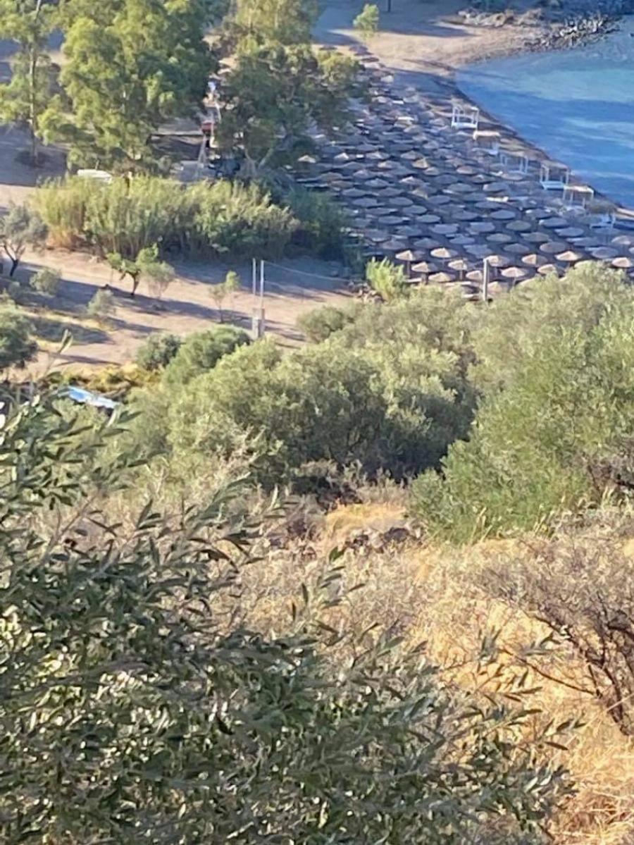 Αισχροκέρδεια στην Αίγινα: Επιχειρηματίας τοποθέτησε 140 σετ ομπρελών σε παραλία, ενώ έχει άδεια για 24