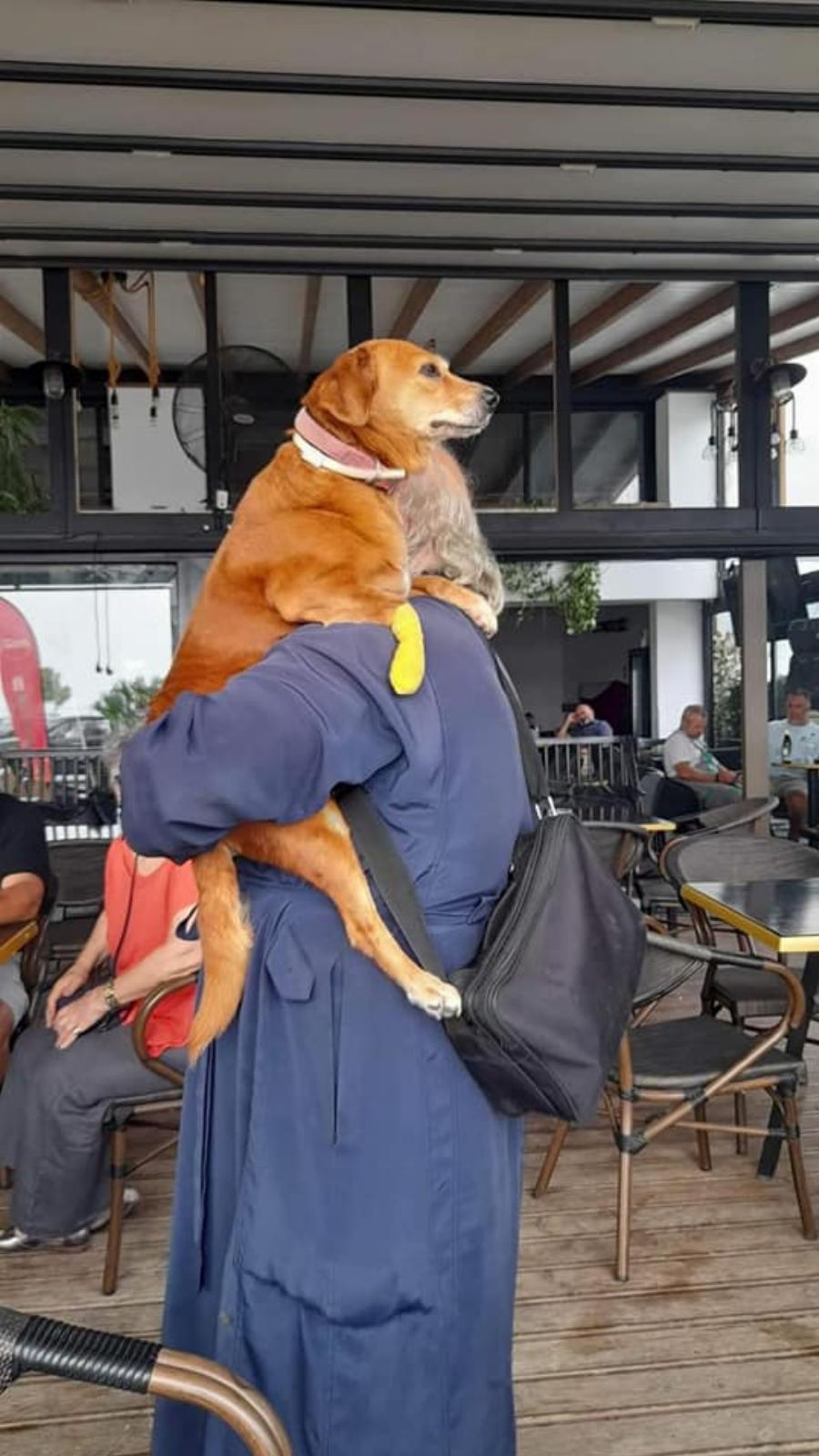 Ένας ιερέας διαφορετικός από τους άλλους στην Λέσβο: Κουβαλάει στα χέρια μια σκυλίτσα που έχει πρόβλημα με τη μέση της