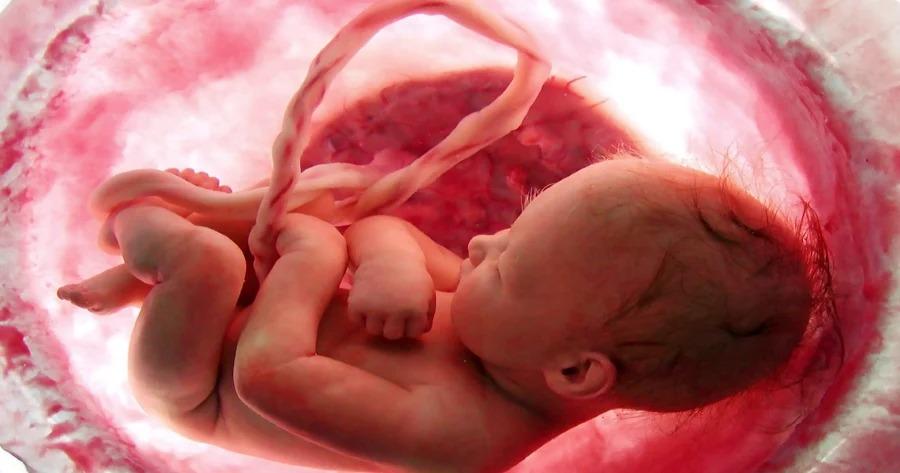 Ολόκληρο το θαύμα της εγκυμοσύνης σε μόλις 4 λεπτά