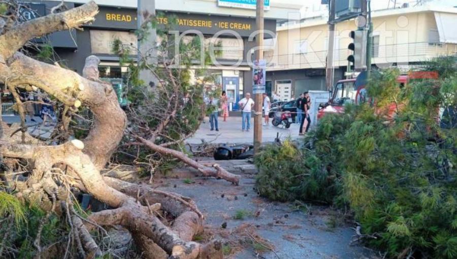 «30 χρόνια μαζί, καλό παράδεισο ψυχή μου»: Ραγίζει καρδιές η χήρα του 51χρονου που καταπλακώθηκε από δέντρο