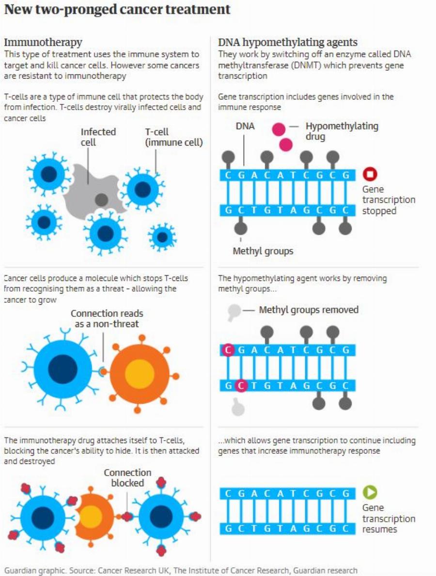 Νέα συνδυαστική θεραπεία για τον καρκίνο: Δίνει ελπίδες ακόμη σε ασθενείς τελευταίου σταδίου