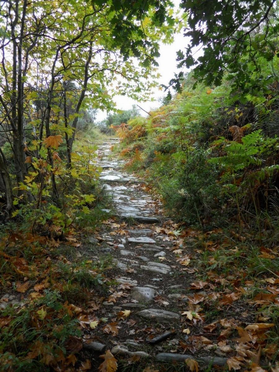 Μαγική θέα και ονειρεμένο τοπίο: Η Πορταριά είναι  το χωριό στο Πήλιο που μοιάζει με ανθισμένο μπαλκόνι