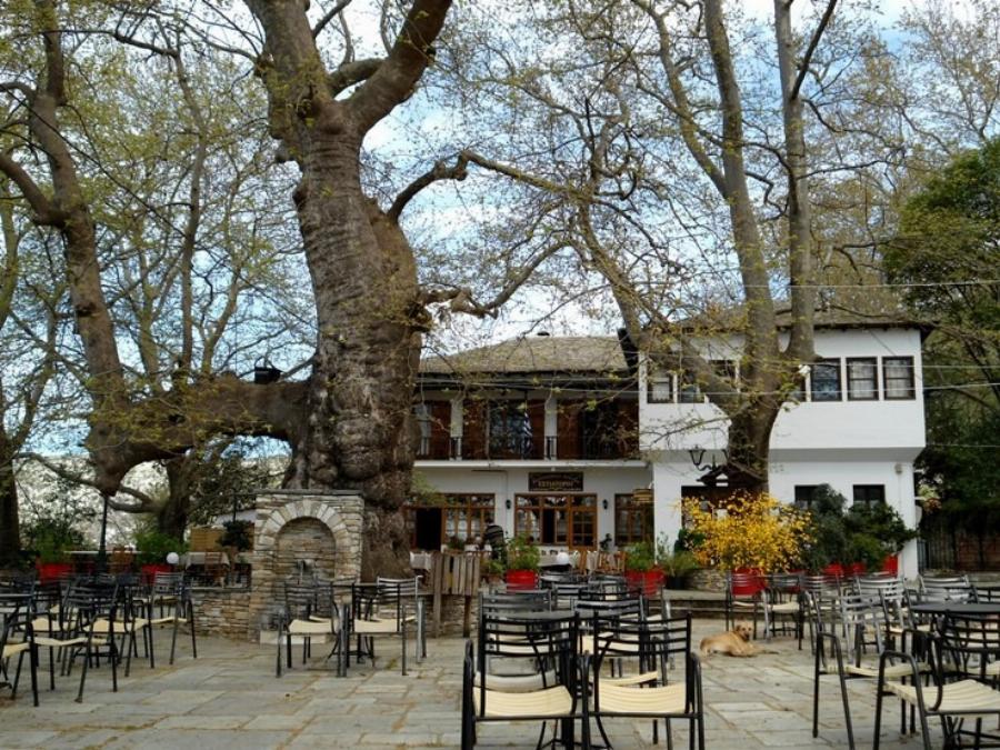 Μαγική θέα και ονειρεμένο τοπίο: Η Πορταριά είναι  το χωριό στο Πήλιο που μοιάζει με ανθισμένο μπαλκόνι