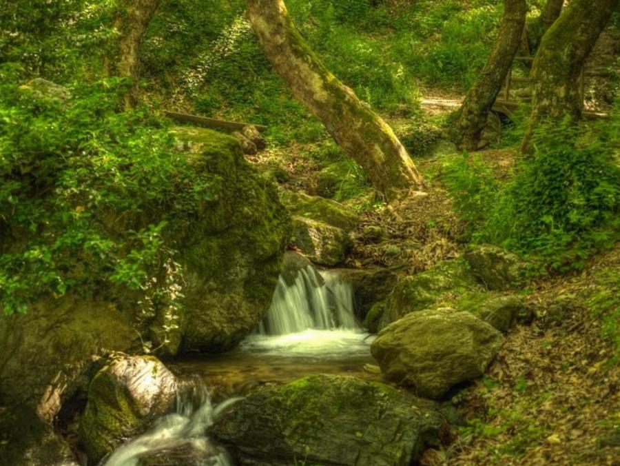 Μαγική θέα και ονειρεμένο τοπίο: Η Πορταριά είναι  το χωριό στο Πήλιο που μοιάζει με ανθισμένο μπαλκόνι