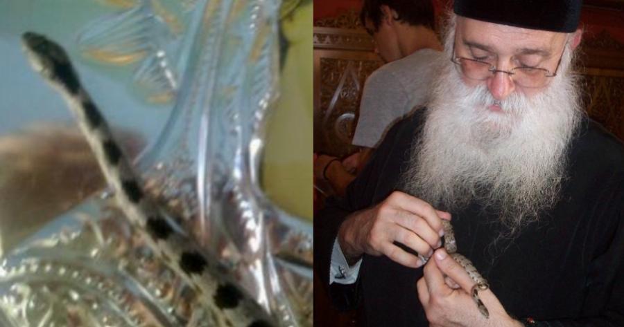 Κεφαλονιά: Η ιστορία πίσω από το θαύμα με τα φιδάκια της Παναγίας