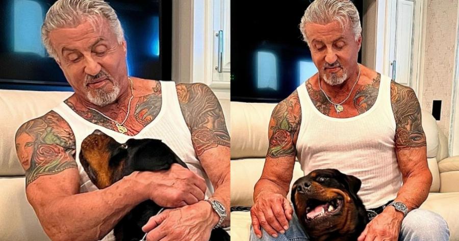 Φήμες θέλουν τον Σιλβέστερ Σταλόνε να έχει χωρίσει: «Εξαφάνισε» το τατουάζ με τη γυναίκα του και το κάλυψε με τον σκύλο από το «Rocky»