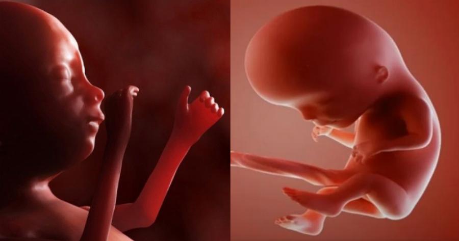 Ολόκληρο το θαύμα της εγκυμοσύνης σε μόλις 4 λεπτά