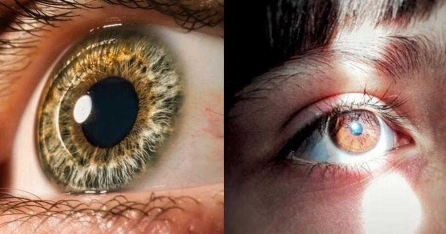 Επιστημονικό θαύμα: Τυφλοί άνθρωποι βλέπουν ξανά και μάλιστα άψογα με εργαστηριακό κερατοειδή χιτώνα