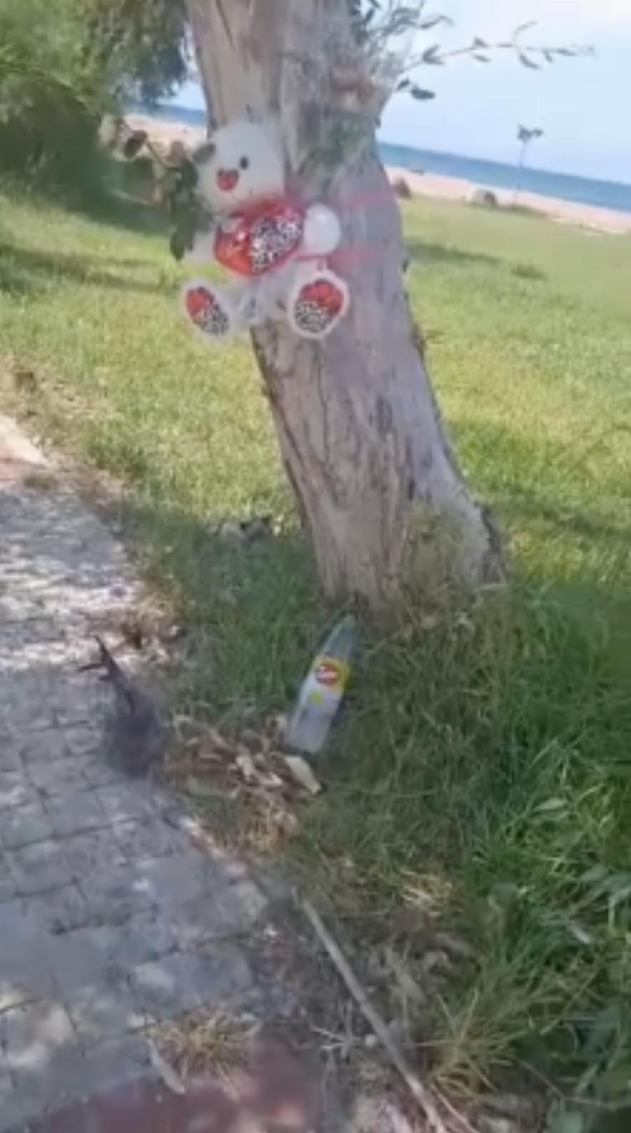 Τραγωδία στη Πάτρα: Αυτό είναι το 5χρονο «αγγελούδι» που πέθανε στο φρικτό τροχαίο