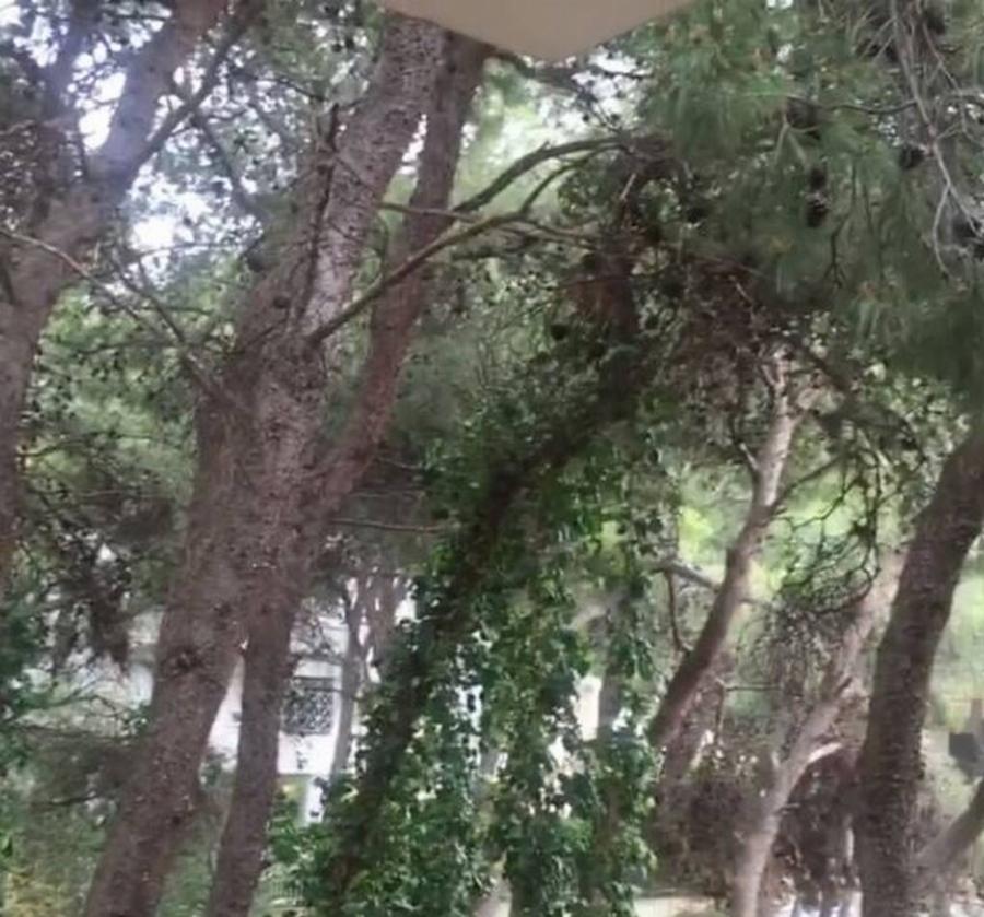 Ρούλα Κορομηλά: Οι 10 εξωσωματικές, οι προσπάθειες για υιοθεσία, η κατάθλιψη, η περιπέτεια της υγείας της και το αυτοάνοσο νόσημα