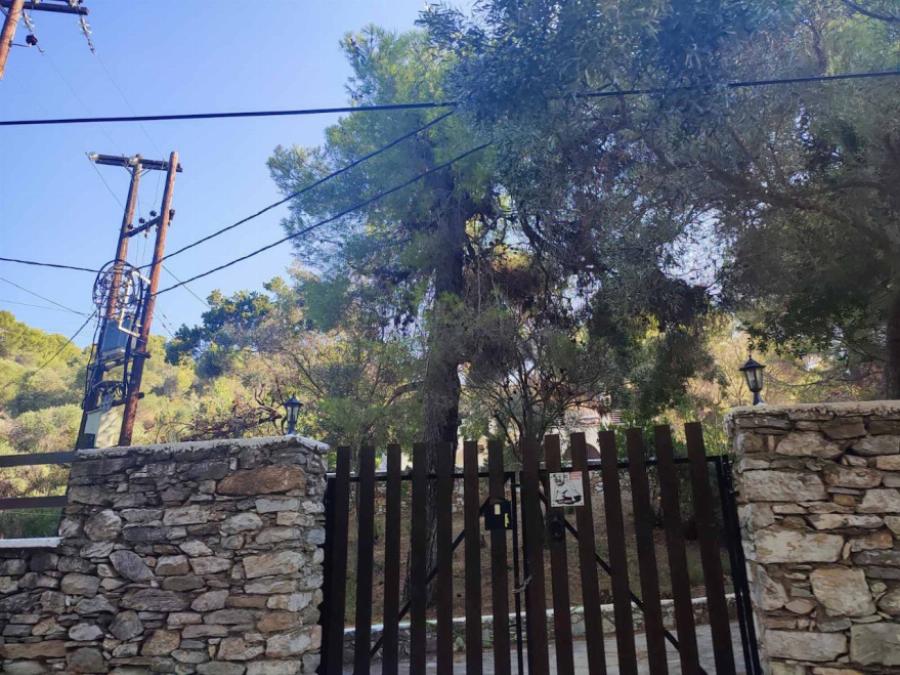 Αυτοκτονία 55χρονου επιχειρηματία στην Σκιάθο: Έβαλε τέλος στην ζωή του και άφησε σημείωμα