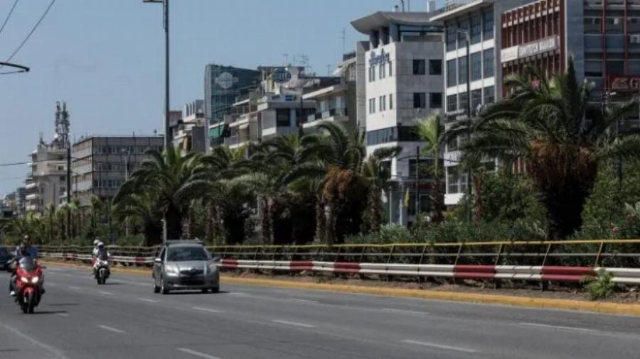 Αθήνα: 300 φοίνικες φυτεύτηκαν στη Λ. Συγγρού από το Πάντειο μέχρι το Φάληρο