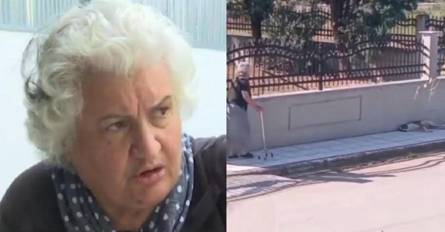 «Δεν ήθελα να το χτυπήσω, μόνο να το τρομάξω!»: Ξέσπασε η ηλικιωμένη που πέταξε μπαστούνι στο σκύλο