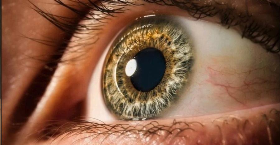 Επιστημονικό θαύμα: Τυφλοί άνθρωποι βλέπουν ξανά και μάλιστα άψογα με εργαστηριακό κερατοειδή χιτώνα
