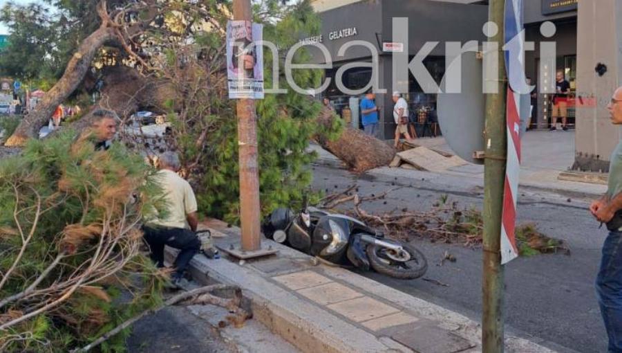 «30 χρόνια μαζί, καλό παράδεισο ψυχή μου»: Ραγίζει καρδιές η χήρα του 51χρονου που καταπλακώθηκε από δέντρο