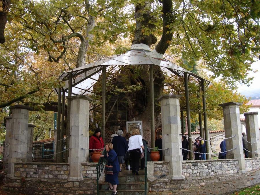 Το ομορφότερο Εκκλησάκι της Παναγίας «κρύβεται» σε έναν πλάτανο 1000 ετών: Η Παναγία η Πλατανιώτισσα