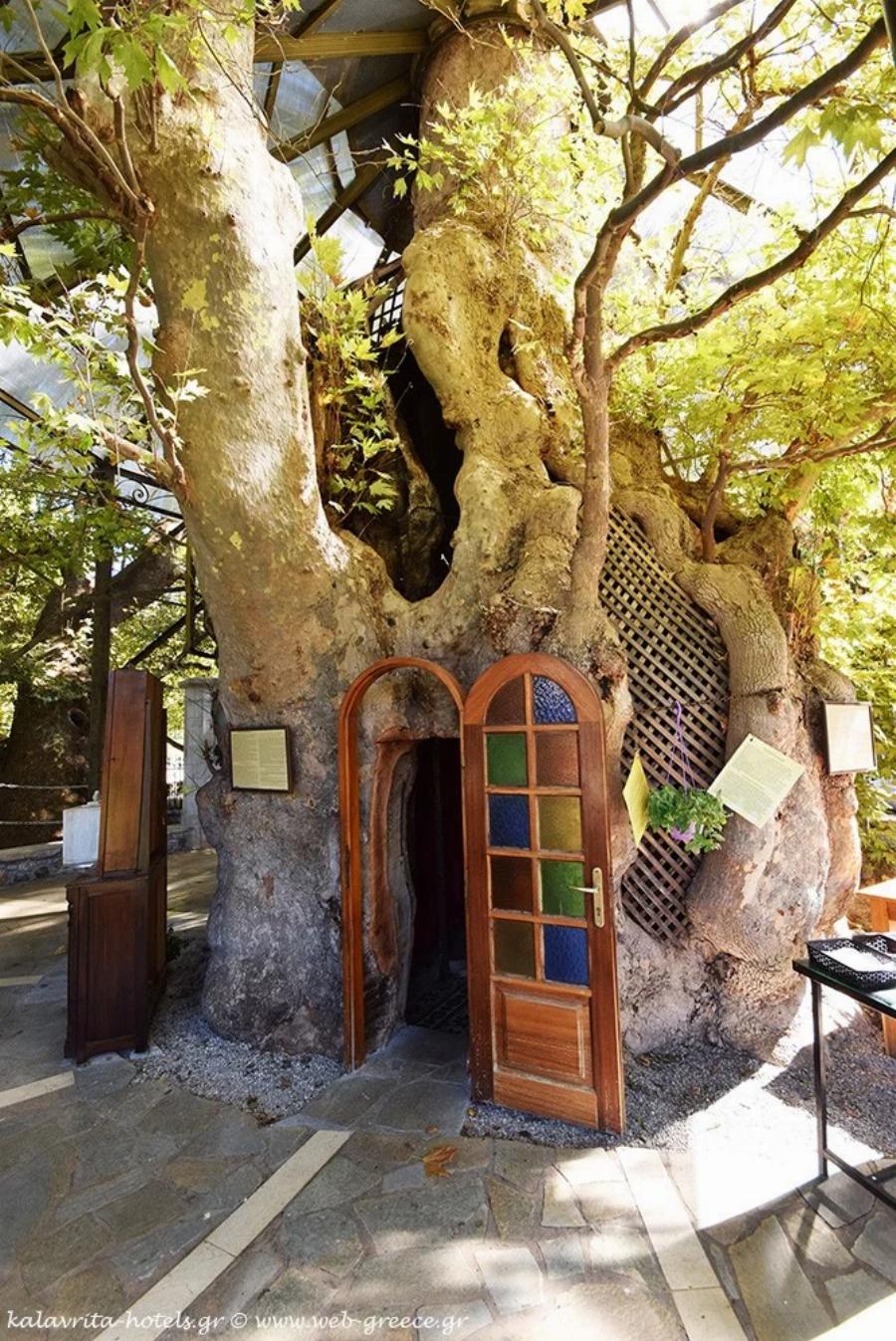 Το ομορφότερο Εκκλησάκι της Παναγίας «κρύβεται» σε έναν πλάτανο 1000 ετών: Η Παναγία η Πλατανιώτισσα