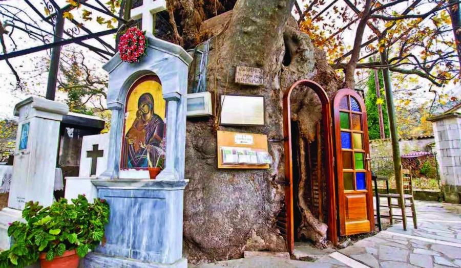 Το ομορφότερο Εκκλησάκι της Παναγίας «κρύβεται» σε έναν πλάτανο 1000 ετών: Η Παναγία η Πλατανιώτισσα