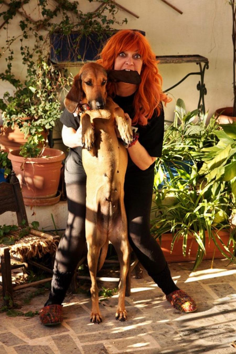 Η αγάπη της Τζόυς Ευείδη για τα ζωάκια: «Το σπίτι μου ανήκει στα ζώα μου – Ο σύντροφος είναι ο περιττός»