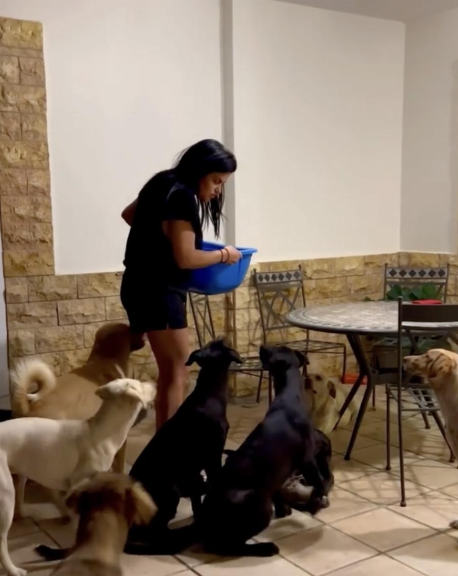 ViraΙ το βίvτεo της Δήμητρας Κατσαφάδου που ταΐζει τα σκυλιά της: “Έχω 22 σκυλιά μες στο σπίτι, κοιμόμαστε μαζί”