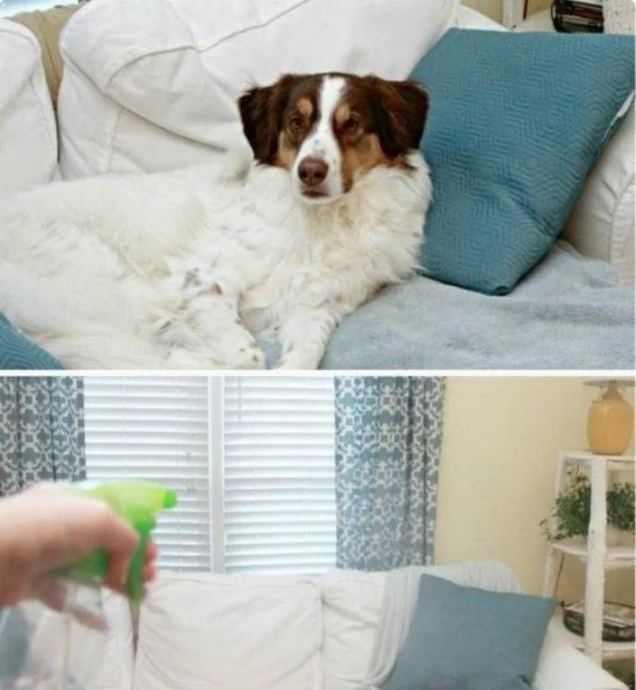 Καθαρίστε στο άψε – σβήσε: 17 έξυπνα, γρήγορα και οικονομικά κόλπα καθαριότητας