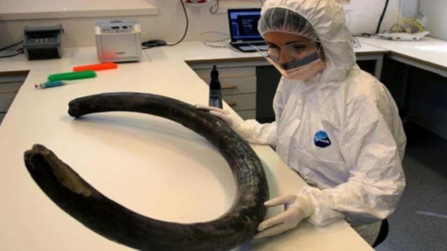 Μόνο υπερηφάνεια: 32χρονη από τις Ράχες Στυλίδας, επικεφαλής Γενετικών ερευνών στο Χάρβαρντ