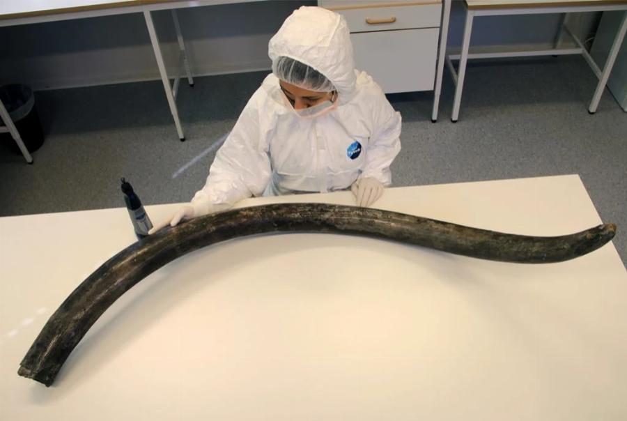 Μόνο υπερηφάνεια: 32χρονη από τις Ράχες Στυλίδας, επικεφαλής Γενετικών ερευνών στο Χάρβαρντ