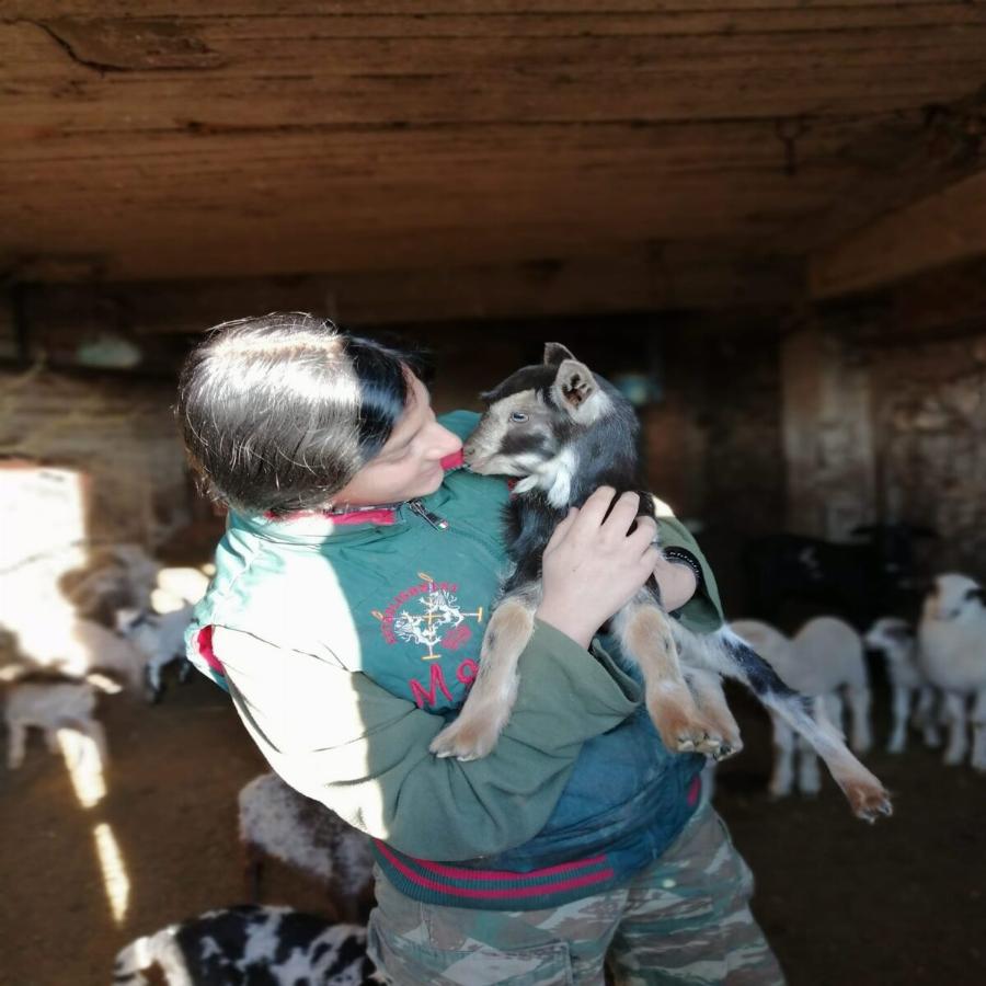 Η ζωή της Μαρίας Ρέτσας στην κτηνοτροφία: Η 20χρονη που βόσκει 100 γιδοπρόβατα στην Εύβοια δίνει ελπίδα για την νέα γενιά