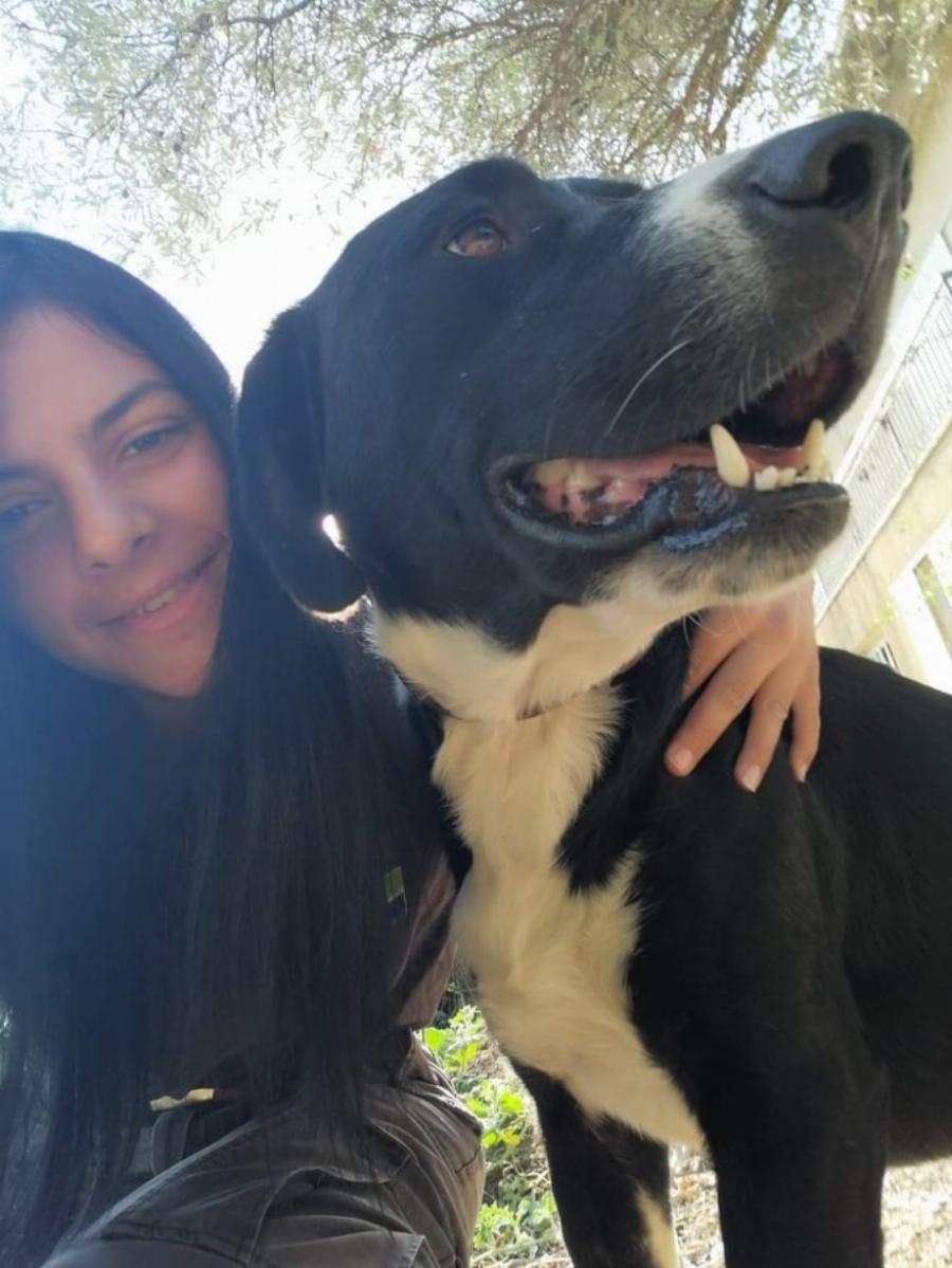 Η ζωή της Μαρίας Ρέτσας στην κτηνοτροφία: Η 20χρονη που βόσκει 100 γιδοπρόβατα στην Εύβοια δίνει ελπίδα για την νέα γενιά