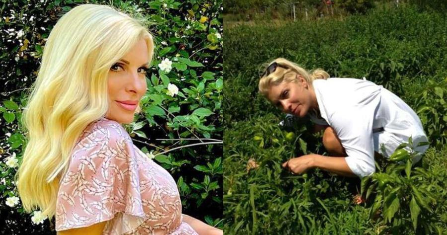 Το φυτό που φέρνει καλή τύχη και πλούτη: Η Ελένη Μενεγάκη το έχει παντού μέσα στο σπίτι της