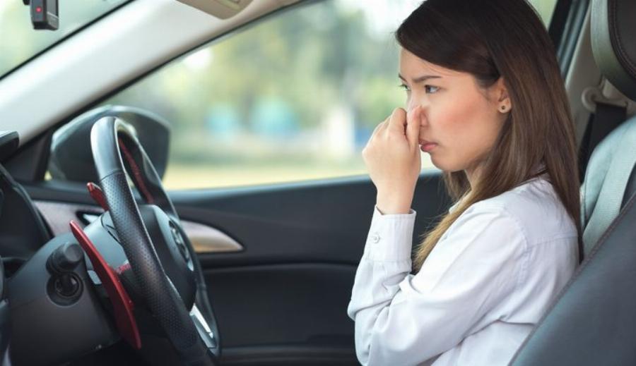 Χωρίς αρωματικό «δεντράκι»: Το κόλπο με την μαγειρική σόδα στο αυτοκίνητο για να φύγουν οι άσχημες μυρωδιές